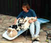 PuppiesLounging.jpg (19173 bytes)